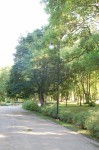 Renovētā apgaismojuma sistēma Ludzas pilsētas parkā
