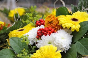 IMG_6755 - Copy