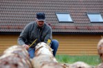 darbnicas_norvegija_maijs_2015-9