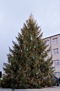 IMG_7908
