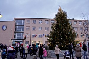 IMG_7914