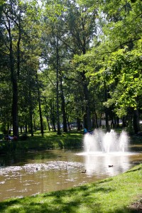 IMG_2977