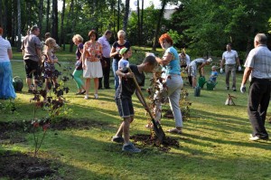 S_Rimsa_Koku_stadisanas_tradicija_2015 (19)