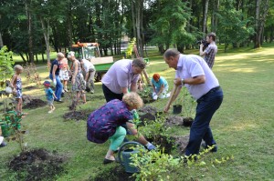 S_Rimsa_Koku_stadisanas_tradicija_2015 (5)