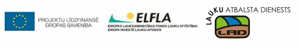 es-elfla-lad_2