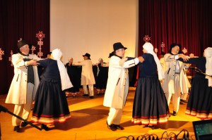S_Rimsa_Valsts_svetki_17-11-2015 (29)