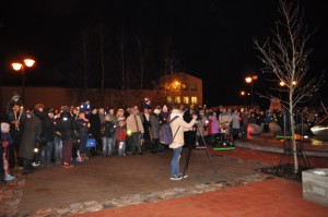 V_Zulina_Lapu_gajiens_11112015 (18)