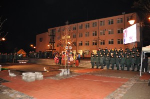 V_Zulina_Lapu_gajiens_11112015 (19)