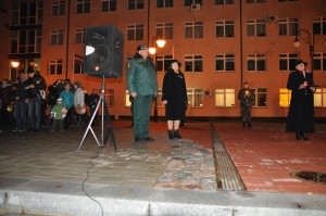 V_Zulina_Lapu_gajiens_11112015 (20)