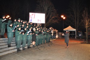 V_Zulina_Lapu_gajiens_11112015 (22)