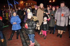 V_Zulina_Lapu_gajiens_11112015 (23)