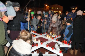 V_Zulina_Lapu_gajiens_11112015 (26)