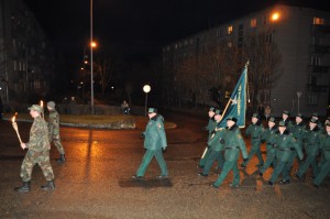 V_Zulina_Lapu_gajiens_11112015 (9)