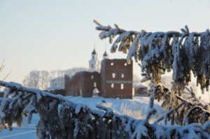 DSC_6500