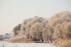 DSC_6514