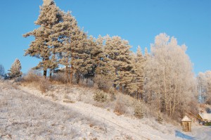 DSC_6535