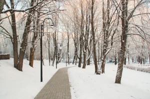 DSC_6671