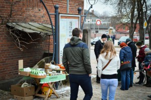 Zalais_tirdzins_Ludza_4