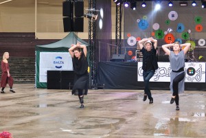Saules_lietus_2016_1_S_Rimsa (13)