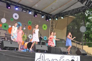 Saules_lietus_2016_1_S_Rimsa (4)