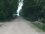 Lauku_celi_LAD (4)