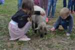 Latgalu_tirgus_2018 (2)